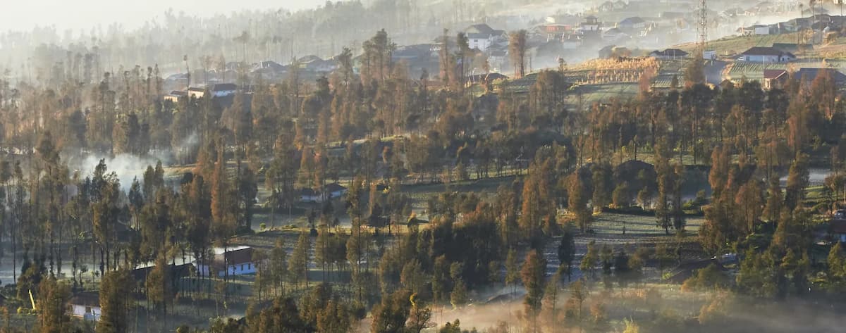Penginapan Dekat Bromo 2026: Area, Harga & Tips Sunrise