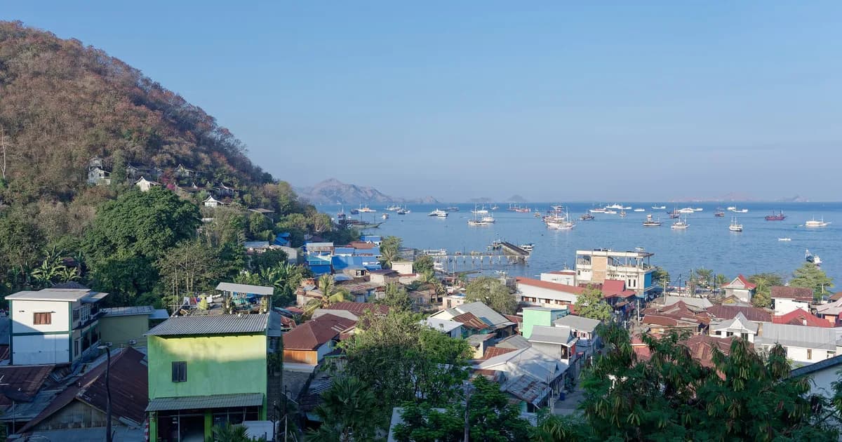 Kota Labuan Bajo dan pelabuhannya yang penuh kapal wisata, dilihat dari lereng bukit