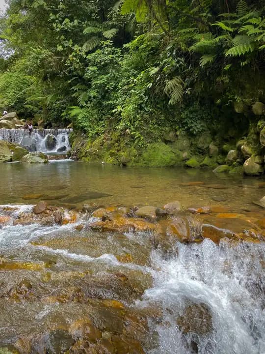 Lembah Tepus Bogor: Lokasi, Air Terjun, Tiket dan Tips