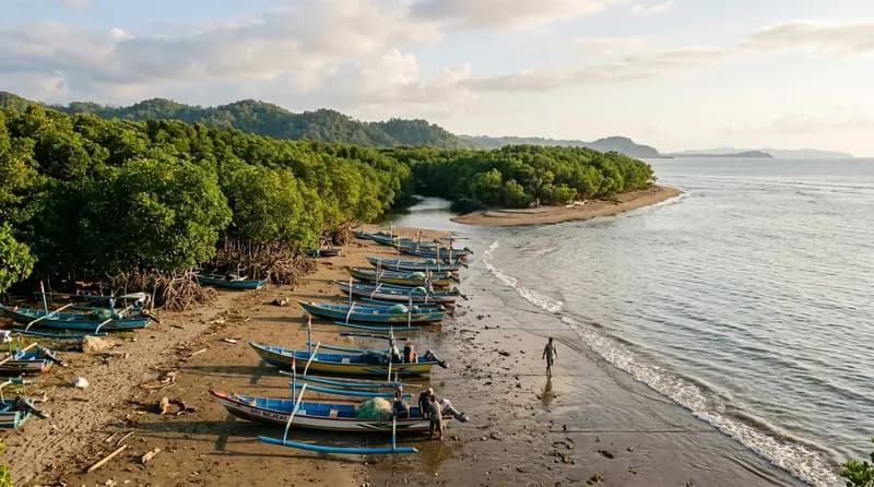 Pantai Congot 2026: Review Lengkap, Aktivitas Seru, dan