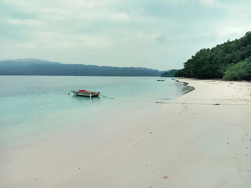 Pulau Peucang Ujung Kulon 2026: Panduan Rute, Izin, dan Aktivitas