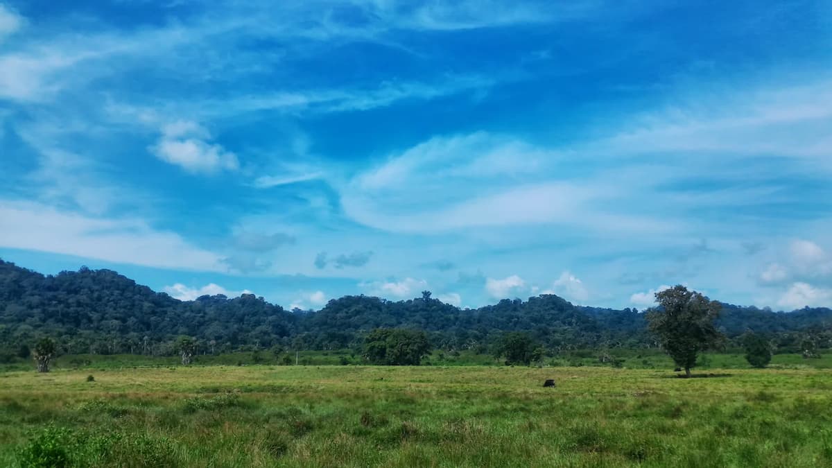 Wisata Alas Purwo 2026: Daya Tarik, Rute, Harga Tiket, dan Tips
