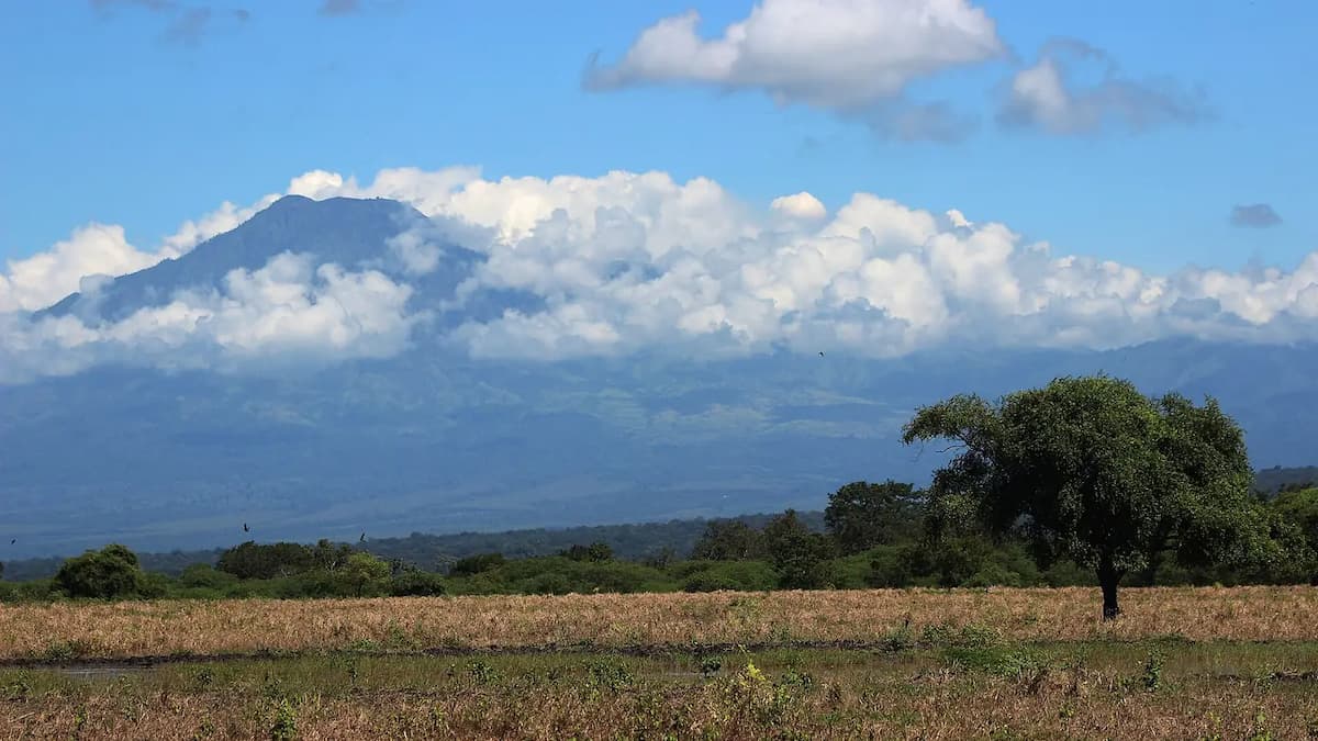 Panduan Taman Nasional Baluran 2026: Semua yang Perlu Anda Ketahui