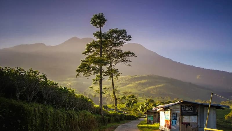 Destinasi Tersembunyi Jawa Tengah: 15 Hidden Gems 2026