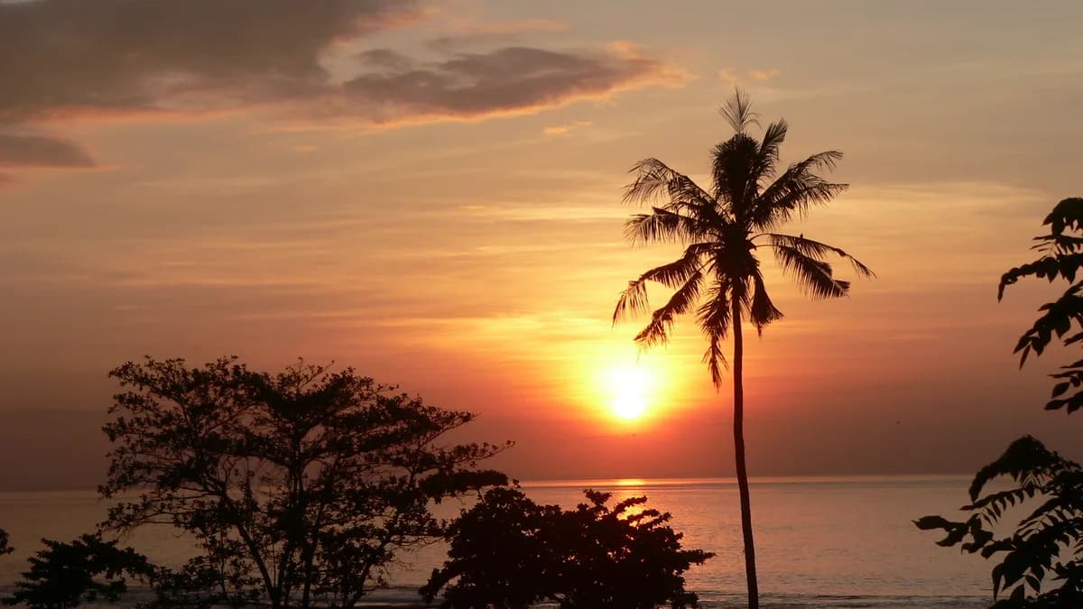 Matahari terbit di Pantai Saba, Gianyar, dengan siluet pohon kelapa di tepi pantai