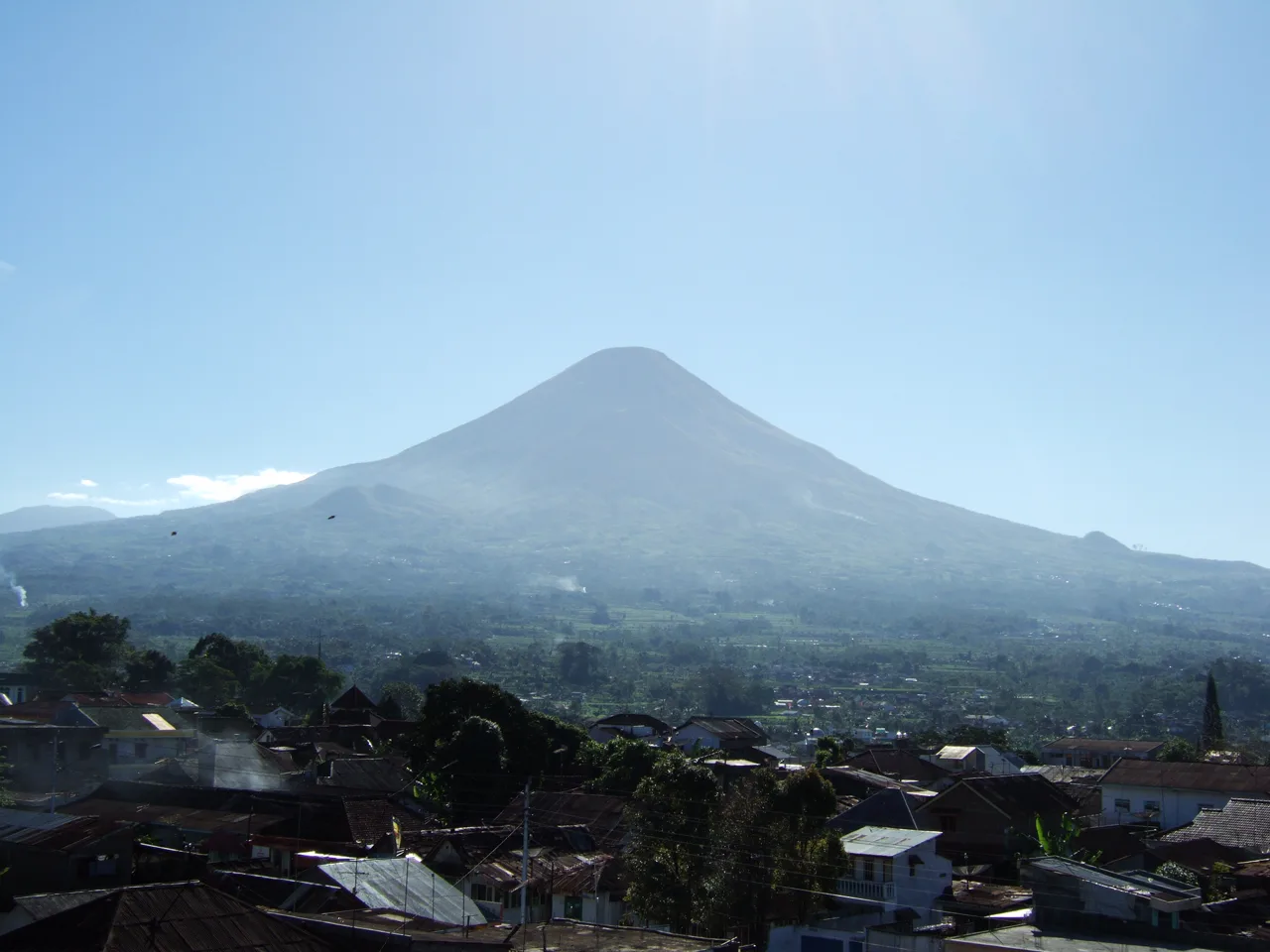 Gunung Sindoro di atas bangunan dan pepohonan Kota Wonosobo