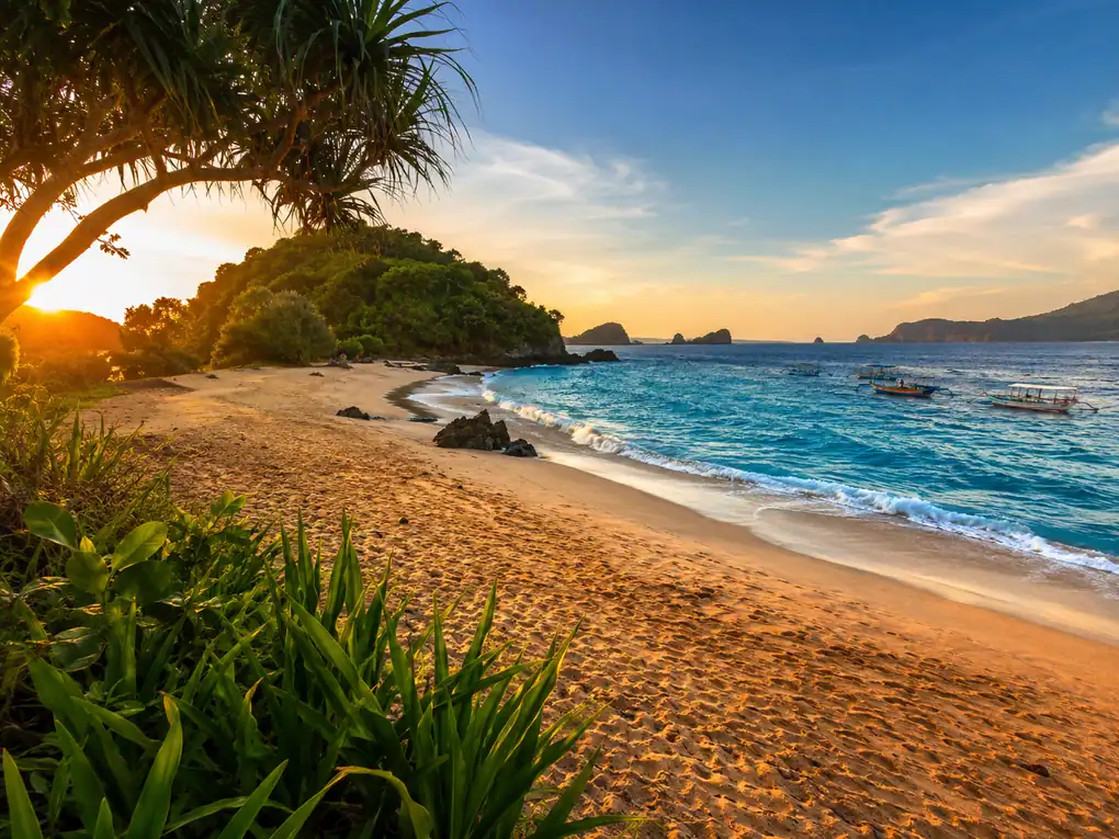 Daya Tarik Utama Pantai Congot