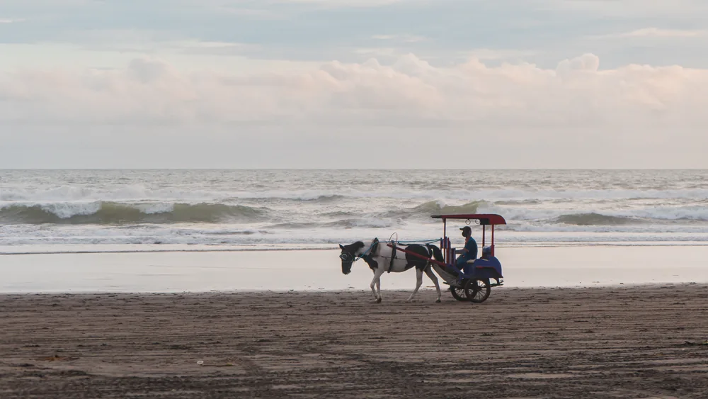 Satu delman tanpa penumpang melintasi Pantai Parangtritis yang kosong tanpa wisatawan