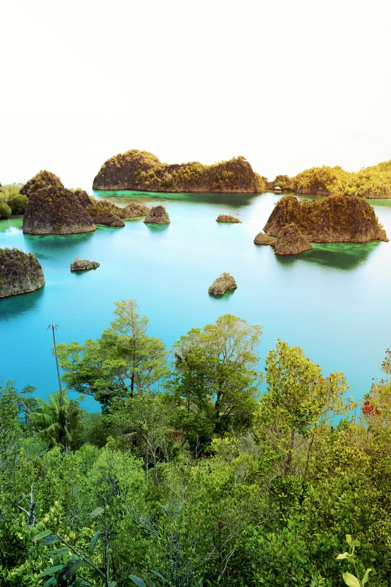 Gugusan pulau karst berpuncak hijau menyembul dari laguna berair biru toska dilihat dari atas Pulau Piaynemo, Raja Ampat