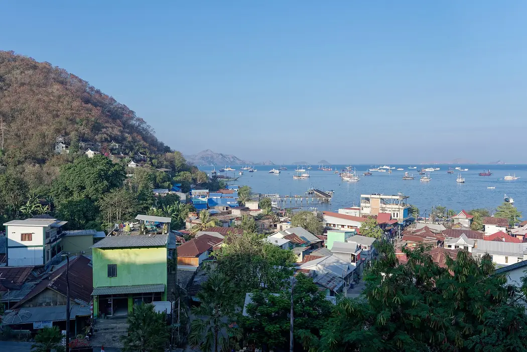 Atap-atap kota Labuan Bajo dan teluknya yang penuh kapal wisata, dilihat dari lereng bukit