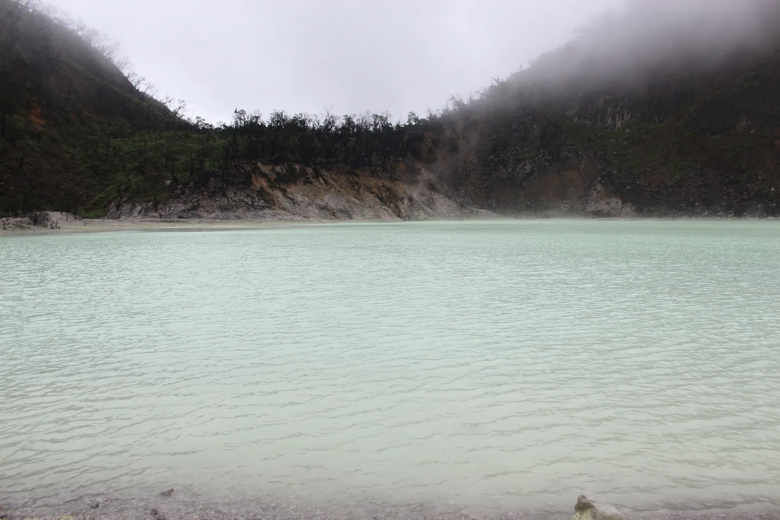 Danau Kawah Putih berwarna hijau pucat dengan dinding kawah gelap dan kabut tebal menggantung di atasnya