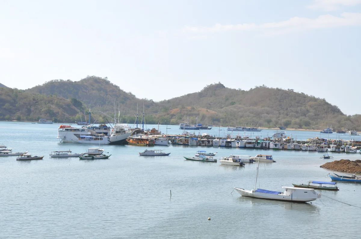 Kapal-kapal wisata berlabuh di pelabuhan Labuan Bajo dengan perbukitan kering di belakangnya