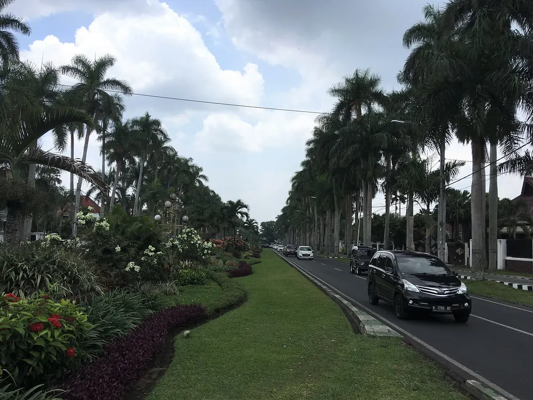 Jalan Ijen di Kota Malang dengan barisan palem raja, taman median berbunga, dan rumah-rumah berpagar