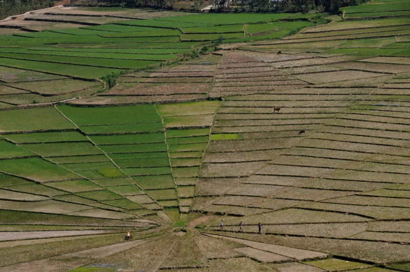 Panduan Backpacking Flores 5 Hari 2026: Rute dan Tips Hemat
