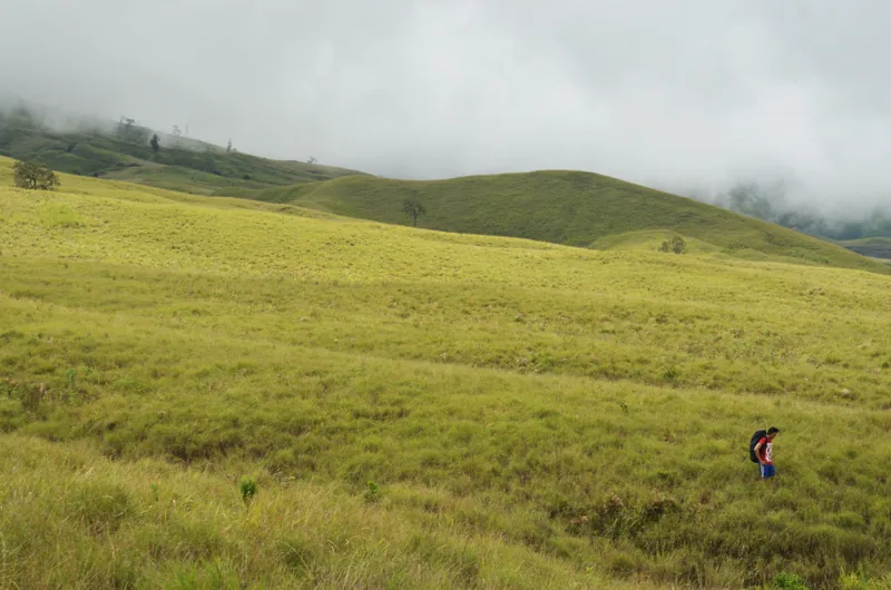 Padang sabana berbukit di dekat Pos 1 jalur Sembalun dengan seorang pendaki berjalan sendirian