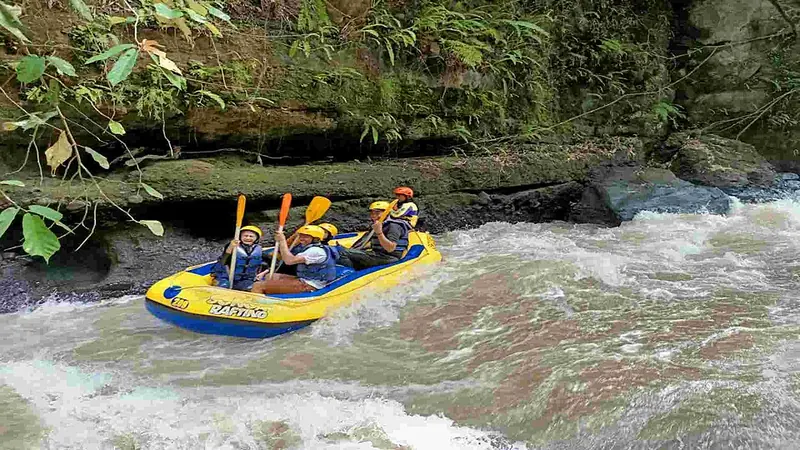 Tim arung jeram mendayung perahu karet kuning melewati arus deras di Sungai Pekalen, Probolinggo