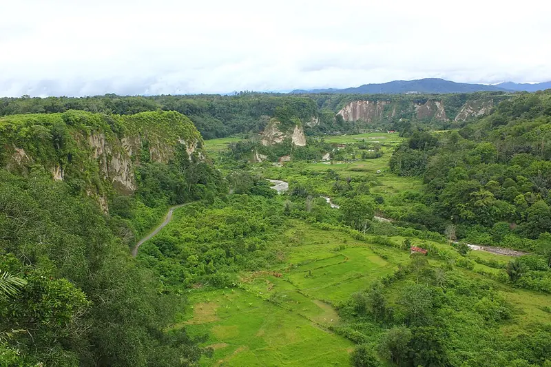 Lembah hijau Ngarai Sianok dengan tebing kapur, sawah, sungai, dan jalan berkelok