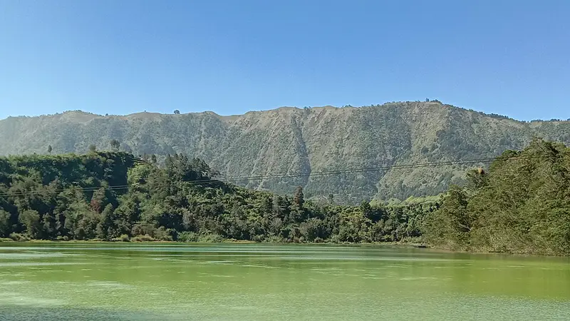 Permukaan hijau Telaga Warna di Dieng dengan hutan dan perbukitan di latar belakang