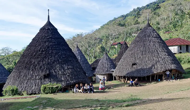 Deretan rumah adat kerucut Mbaru Niang beratap ijuk di Desa Wae Rebo dengan lereng bukit hijau di belakangnya