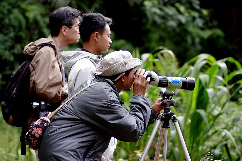 Beberapa pengamat burung mengamati satwa dengan teropong spotting scope di atas tripod di tepi hutan Halimun