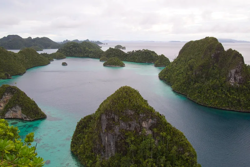 Gugusan pulau karst hijau di laguna biru kehijauan Wayag, Raja Ampat, dilihat dari ketinggian
