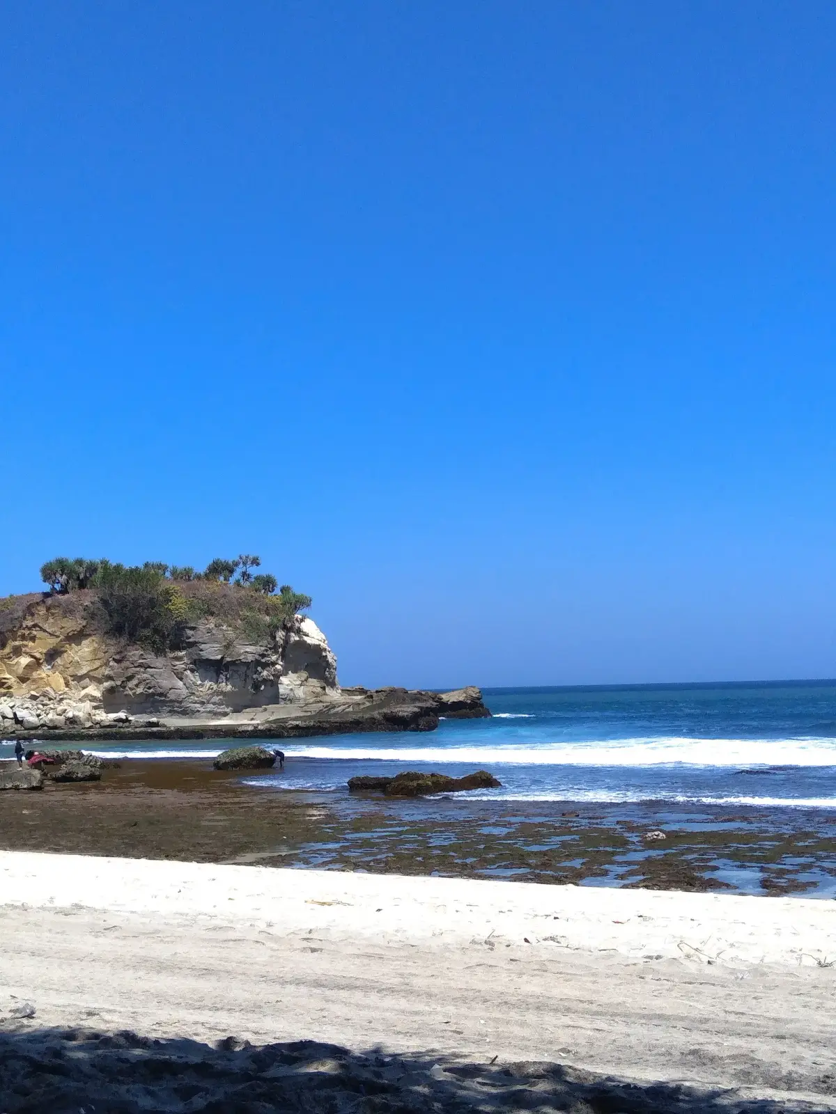 Tebing karang berpuncak pohon pandan menjorok ke laut di Pantai Klayar, Pacitan, dengan hamparan pasir putih di depannya