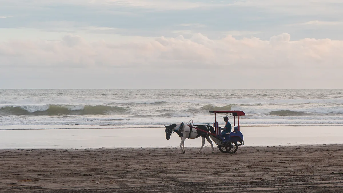 Dokar atau kereta kuda melintas di hamparan pasir Pantai Parangtritis yang lapang dengan ombak di kejauhan
