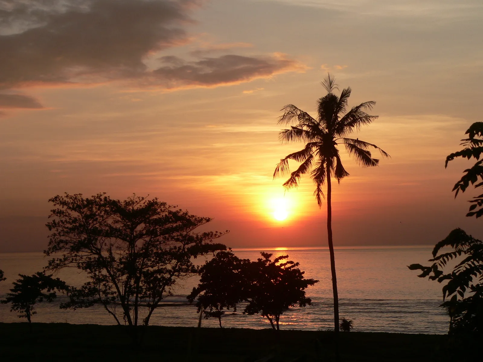 Siluet pohon kelapa dan semak pantai di garis pantai Saba saat matahari terbit di atas laut