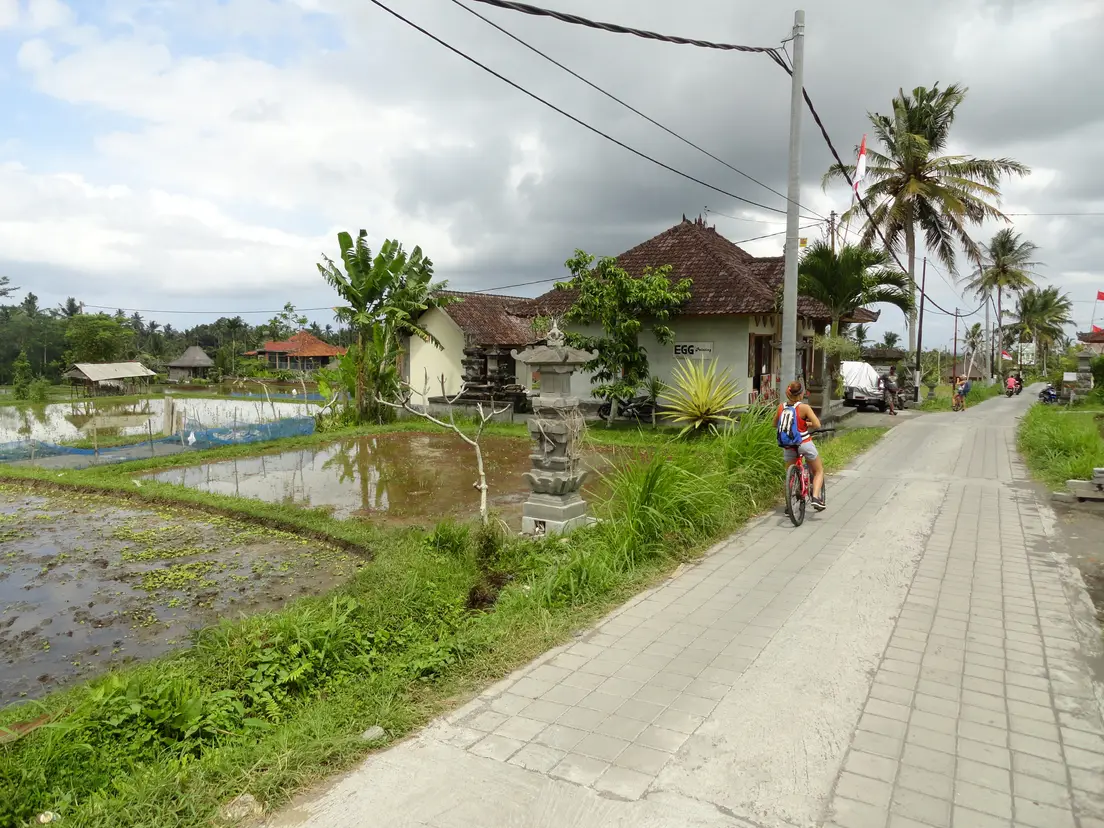 Jalan desa di Ubud yang diapit petak sawah, rumah warga, dan pura keluarga, dengan seorang pesepeda melintas
