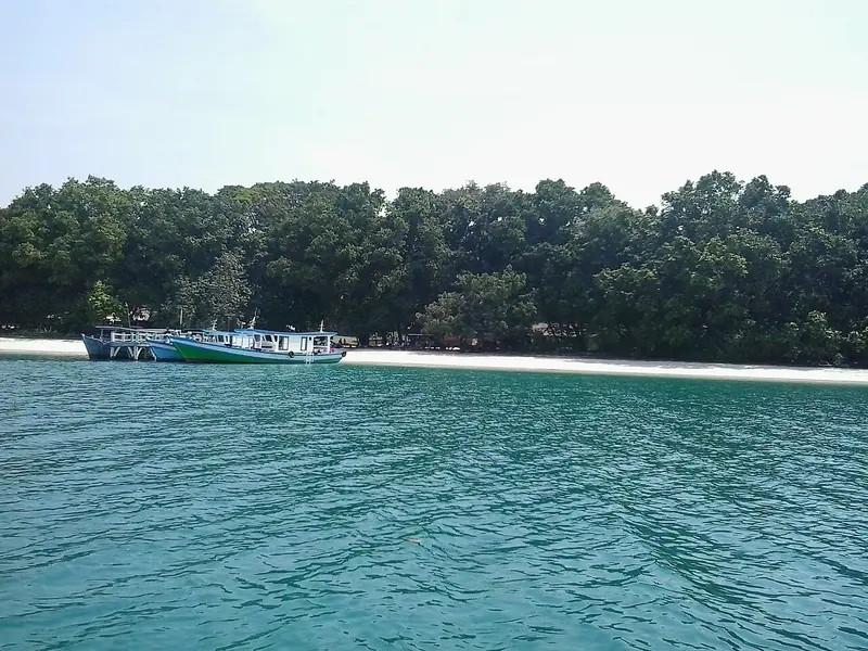 Kapal kayu biru putih bersandar di depan pantai pasir putih Pulau Peucang yang dipagari hutan lebat, difoto dari atas laut