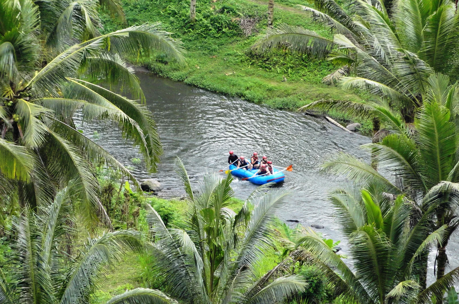 Satu perahu karet berisi peserta arung jeram menyusuri Sungai Ayung yang diapit rimbun pohon kelapa di Ubud