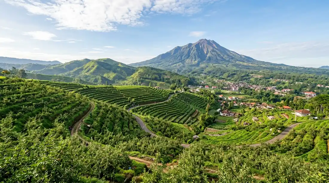 Pemandangan perbukitan hijau dan kebun apel bertingkat di Batu Malang