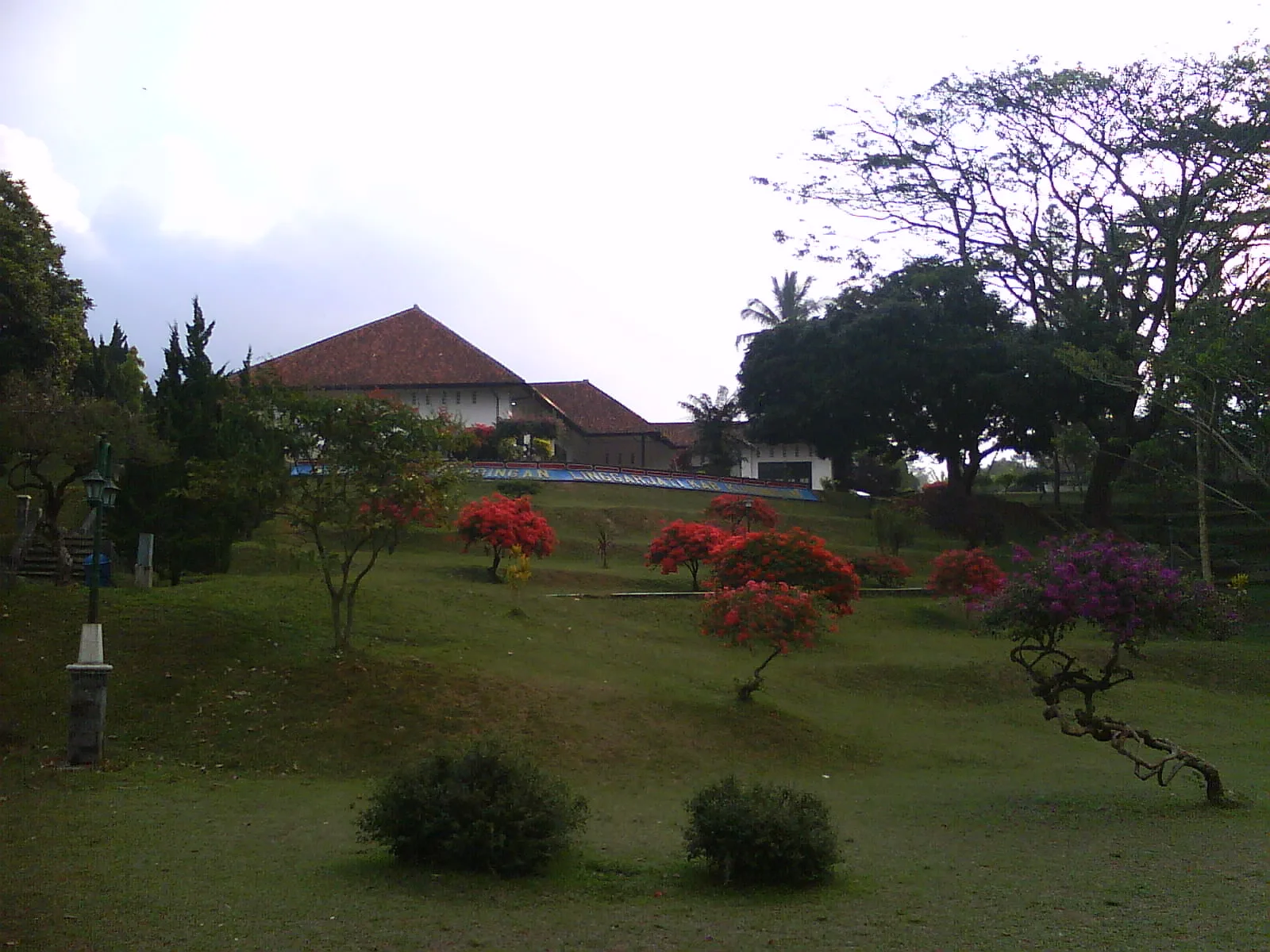 Gedung Perundingan Linggarjati beratap genteng merah berdiri di atas taman berumput dengan pohon berbunga merah di halamannya